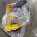 RealTruck Nerf Steps for Toyota 4Runner | Wheel-to-Wheel, Heavy Duty Steel, Textured Black | T1164RL | Fits 2010 - 2024 Toyota 4 Runner Limited/10-13 SR5/TRD Sport/Nightshade 4 Door