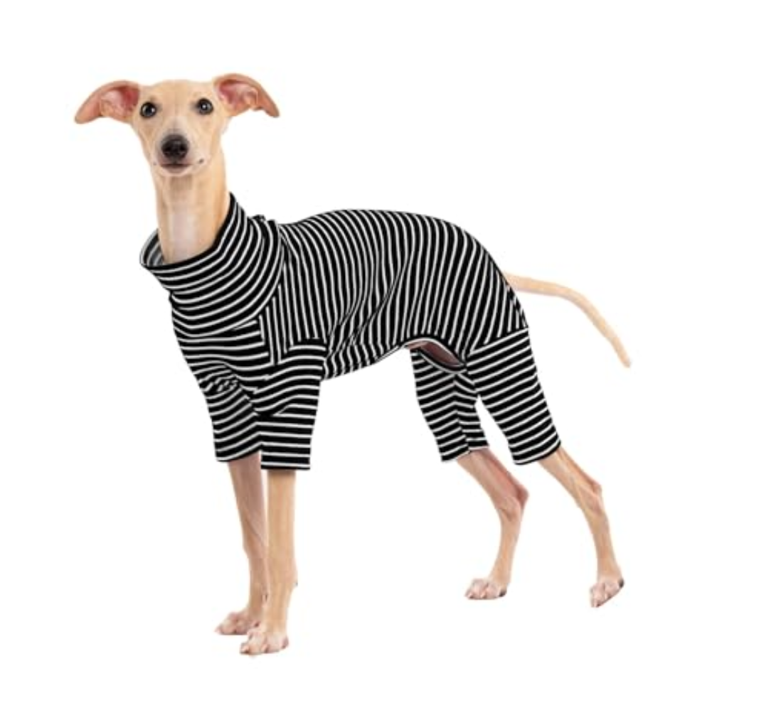 Dog Sweaters for Small Dogs Girls Boys, Striped Pet Sweaters for Fall Winter Dog Clothes, Turtleneck Pullover Knitwear for Small Medium Dogs, XL
