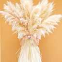 46" inch 10 Stems Natural Pampas Grass Decor Tall, Pompas Grass, Tall Pampas Grass for Weddingm, Farmhouse, Boho Home Decor (Beige)