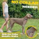 Fida Durable Slip Lead Dog Leash, 6 FT x 3/8" Heavy Duty Comfortable Strong Rope Slip Lead for Small Dogs and Puppies, No Pull Pet Training Leash with Highly Reflective(3/8", Grey)