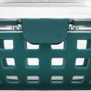 Ello Duraglass Meal Prep Container- Glass Food Storage Container with Silicone Sleeve and Airtight BPA-Free Plastic Lid, Dishwasher, Microwave, and Freezer Safe (5.5 cup, 5 Cup Watercress)
