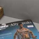 Ally Peaks Pull Up Bar for Doorway | Thickened Steel Max Limit 440 lbs Upper Body Fitness Workout Bar| Multi-Grip Strength for Doorway | Indoor Chin-Up Bar Fitness Trainer for Home Gym Portable (silver2)