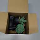 Der Rose 3pcs Fake Succulents Plants Artificial for Black Bathroom Bedroom Home Living Room Halloween Decor Aesthetic Indoor