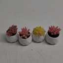 Tiita Artificial Faux Succulents in Pots, Pink Fake Plants Ceramic Arrangement Planter for Women Desk Small Mini Tiny Decoration for Home Office Desk Window 4 Set, Pink