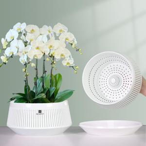 8 inch Orchid Pots with Holes for Repotting,Set of 2,Decorative African Violet Pots with Air-Pruning and Good Air Circulation,Plastic White Orchid Planter with Saucers