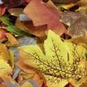 Lvydec 2 Pack Fall Maple Garland - 5.9ft/Piece Artificial Fall Foliage Garland Colorful Autumn Decor for Home Wedding Party (Mixed Color)