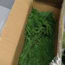 Senjie Christmas Garland Norfolk Pine Garland Real Touch Artificial Greenery Garland for Mantle Fireplace Table Indoor Outdoor Holiday Decortions 6FT 2PCS (6 ft (1 Pack- Young ))