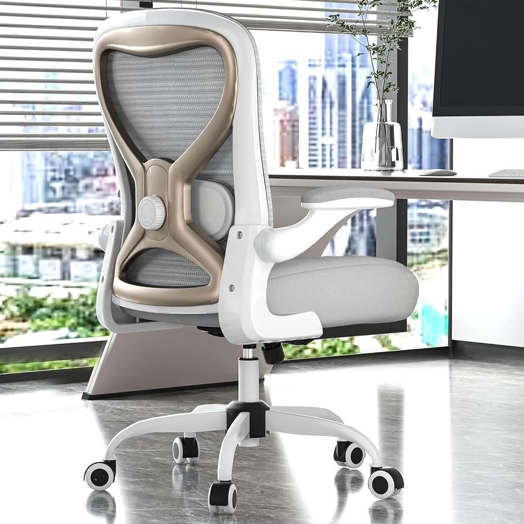 Ergonomic Home Office Chair – 4-Way Lumbar Support, 3.54" Extra-Thick Seat Cushion, Breathable Mesh Back, Flip-Up Arms, Swivel Computer Desk Chair for All-Day Sitting, 330LBS (Gray+Champagne)