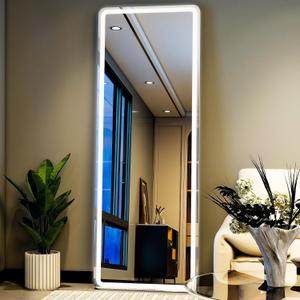 56" x 20" Rectangle Full Length Mirror with Lights for Bedroom