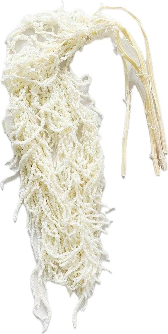 Bleached Hanging Amaranthus - 5 Stems - Natural Dried Flowers
