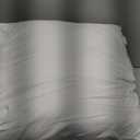 MIULEE Throw Pillows Inserts, Pack of 2 20x20 Inch 100% Virgin Fiber Filling Bed Couch Pillows