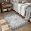 Entryway Rug, Washable Soft Non Slip Low Pile 2x3 Rug, Small Entrance Rugs Indoor for Bedroom, Kitchen, Laundry, Distressed Grey