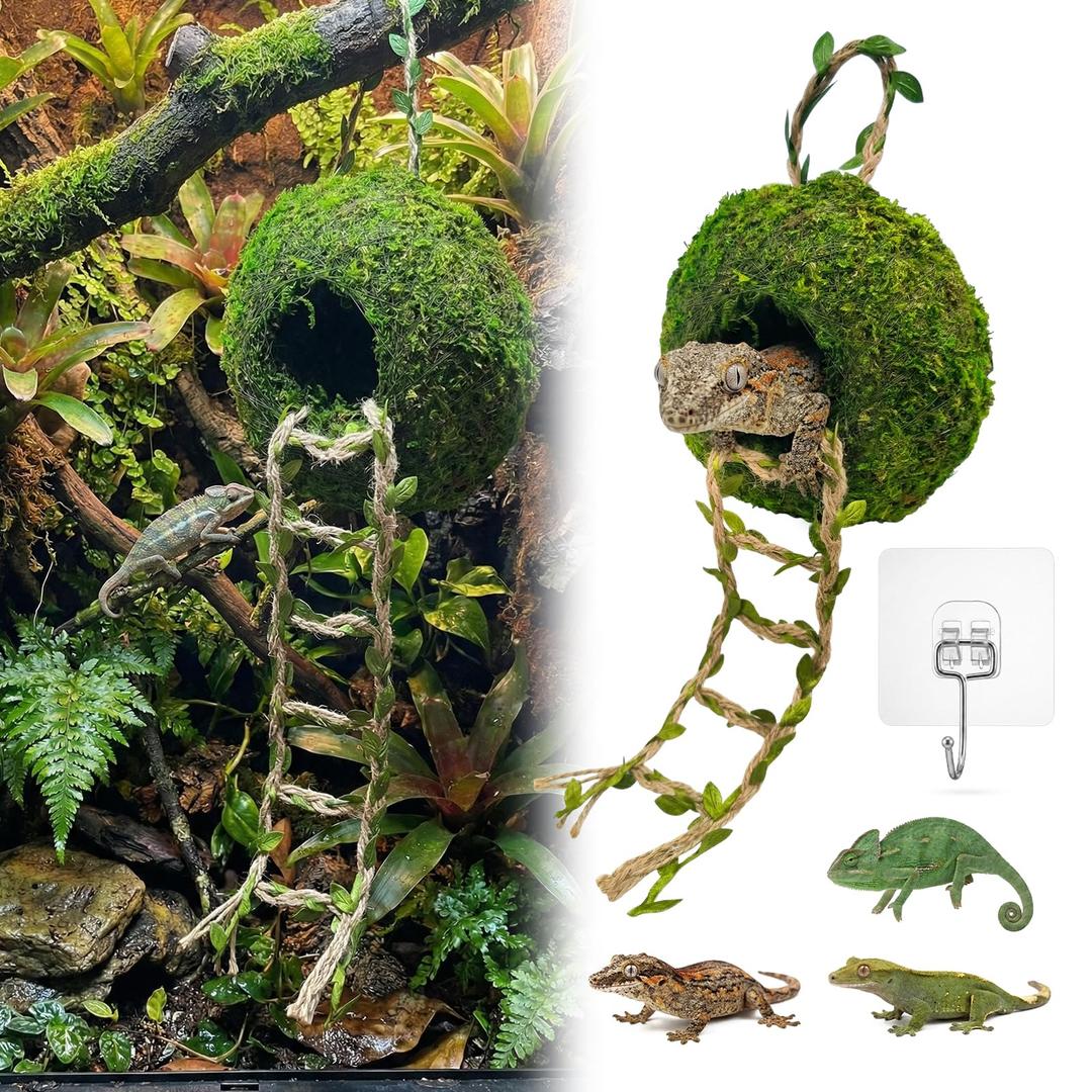 Moss Cave Hideout with Hanging Rope & Hemp Climbing Ladder Natural Reptile Tank Decor Accessories for Crested Geckos, Chameleons, Tree Frogs, Leopard Geckos & Snakes. Terrarium & Vivarium Decor (6")