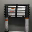 cosco telescopic ladder