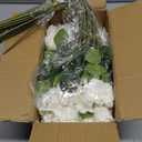 FOTEEWL 60 Pcs Artificial Rose Flower Realistic Faux Silk Roses Stem Fake Roses Bouquet for Flower Arrangement,Wedding Centerpieces,Party,Home Decorations (White)