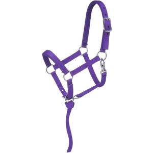 Tough 1 Nylon Padded Miniature Halter, Size Medium