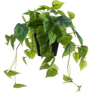 Artificial Scindapsus Aureus, Realistic Fake Plant with Plastic Pot for Home Office Garden Decoration 1 Pack(8in H)