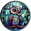 Decorlion Christmas Ornament - Colorful Owl Ceramic Ornament, Bird Lover Gift for Women, Friends, Teachers  Tree Ornaments, Xmas Gifts for Owl Lovers