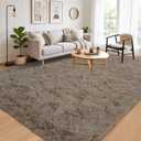 Area Rugs for Living Room, Soft Shaggy Carpets for Bedroom, Fuzzy Rugs for Kids' Room, Perfect Decor for Modern Home Smoke Grayl 8x10 Feet