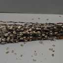 30 Branches Pussy Willow Branches for Vases 23 Inches Natural Dried Pussy Willows Real Dried Flowers 2 Years Long Lasting for Home Decoration