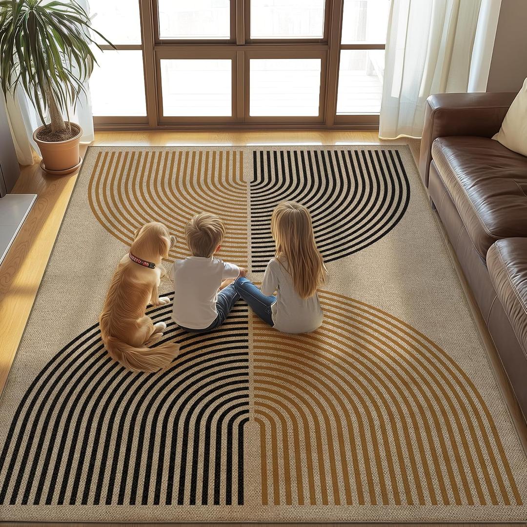 Washable 8x10 Rainbow Modern Woven Indoor Outdoor Area Rug for Living Room