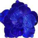 GL-Turelifes 10 Large Glitter Christmas Flowers 6 Pcs Artificial Magnolia Flower Ornaments Fold Floral for Christmas Tree Decorations Xmas Tree New Year Party Wedding Centerpiece (Blue)