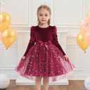 Luckrizyy Girls Velvet Christmas Dress Toddler Tulle Sequin Tutu Dresses Kids Winter Party Holiday Casual Princess Dress 2-7Y Red (Red)