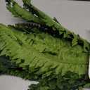 FOREST PRINCE 35" Fake Ferns Artificial Bush Plants for Outdoors, 2-Pack