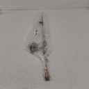 Alaris Combo 6' 0"ML 1-pcs w/Alaris-20 OKUMA, Missing Lever