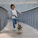 Double Handle Dog Leash - Heavy Duty, 4-6FT Reflective Tactical Leash with 2 Padded Handles, Shock Absorbing Bungee, Car Seatbelt & Easy Snap Hook, for Large, Medium & Small Dogs (Black)