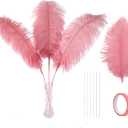 Ballinger Long Pink Ostrich Feathers - 12pcs 16-18inch Feathers Making Kit Large Ostrich Feathers Bulk for Vase,Wedding Party Centerpieces and Home Decor