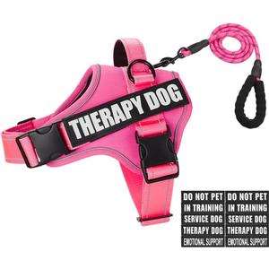 Dog Vest Harness and Leash Set, Animire Reflective Service Dog Vest with 10 Patches, 3 Rings No Choke Pet Vest for Leash Placement, in Training Dog Harness for Small Medium Large Dogs(Hot Pink,S)