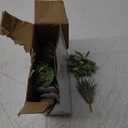 HappyHapi 12 Pcs Artificial Succulents Mini Fake Plants Unpotted Faux Succulent for Craft, Small Plastic Succulents Assortment in Flocked Green Floral Decor for Party, Cake, Garden & Outdoor