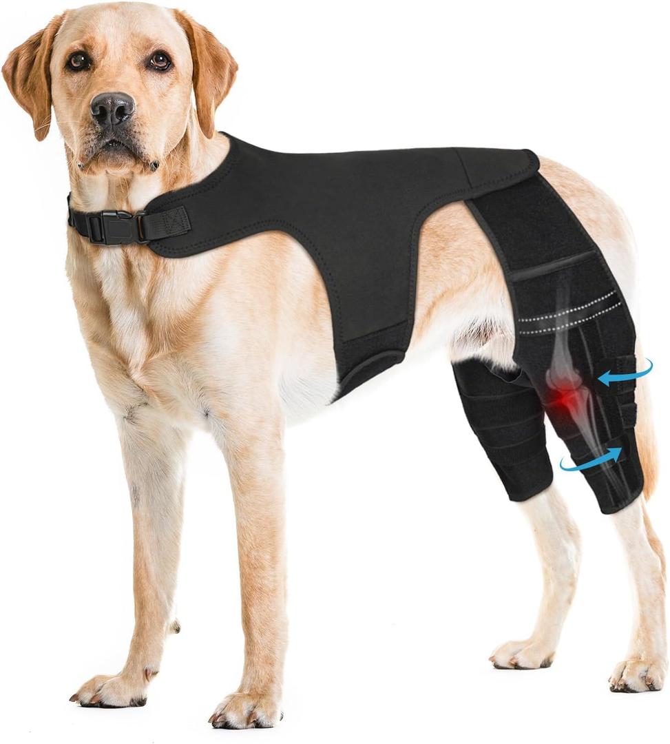 Dog Knee Brace for Torn ACL Hind Leg, Adjustable Dog Leg Braces for Back Leg with 4 Metal Stabilizers Helps with Torn CCL, Luxating Patella, Ligament Injuries, Hip Dysplasia (XXL+)