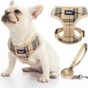 PUPTECK Soft Mesh Dog Harness and Leash Set Pet Puppy Cat Comfort Padded Vest No Pull Harnesses, Beige, S (S (NECK: 12", CHEST: 14"-18"))