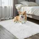 Small Rugs for Bedroom 2x3 Fluffy, Soft Fuzzy Area Rug for Living Room Dorm, Non Slip Shag Rugs for Girls Boys Bedroom, Soft Kids Carpet, Modern Home Decor Aesthetic(2 x 3, White)