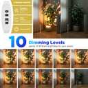 LED Spotlight Indoor, Height Adjustable 9"-20",Plug-in Small Floor Spot Lights, 3000K Uplighting,Timer 3/9/12H,10 Brightness, Focus Display Lights for Plant/Painting/Picture/Tree,Accent Decor lighting (Silver)