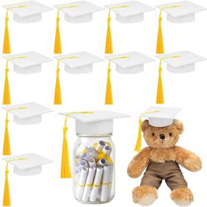 Foilswirl 12 Pcs Mini Graduation Cap with Tassel Mini Plush Mason Jar Small Animal Bachelor Hat Photo Prop Party Supply