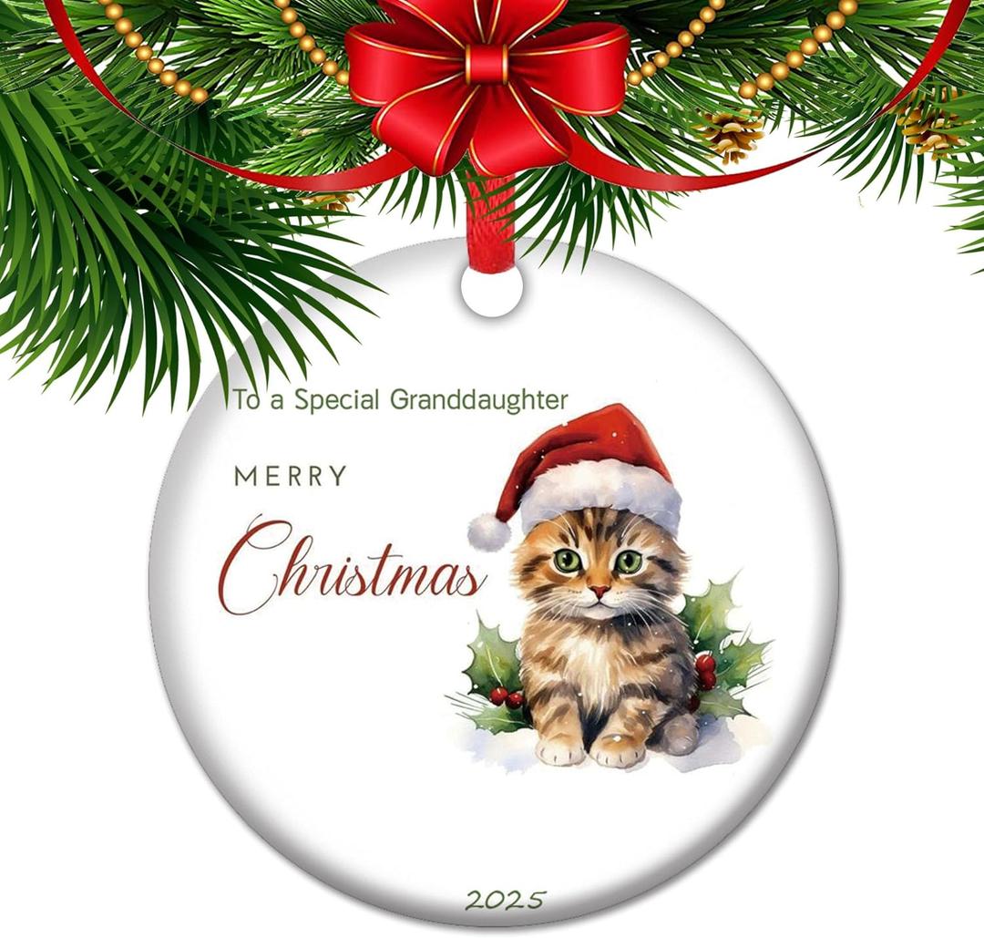 Cat Lover Christmas Ornament - 2025 Cat Mom Ornament, Christmas Keepsake for Family Friends Couple (V16)