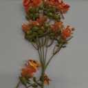 Thinktral Artificial Mums Fall Flowers for Outdoors, Fake Mums UV Resistant Outdoor Artificial Plants, Faux Silk Flowers Plants for Porch,Garden, Patio,Window Box Decoration