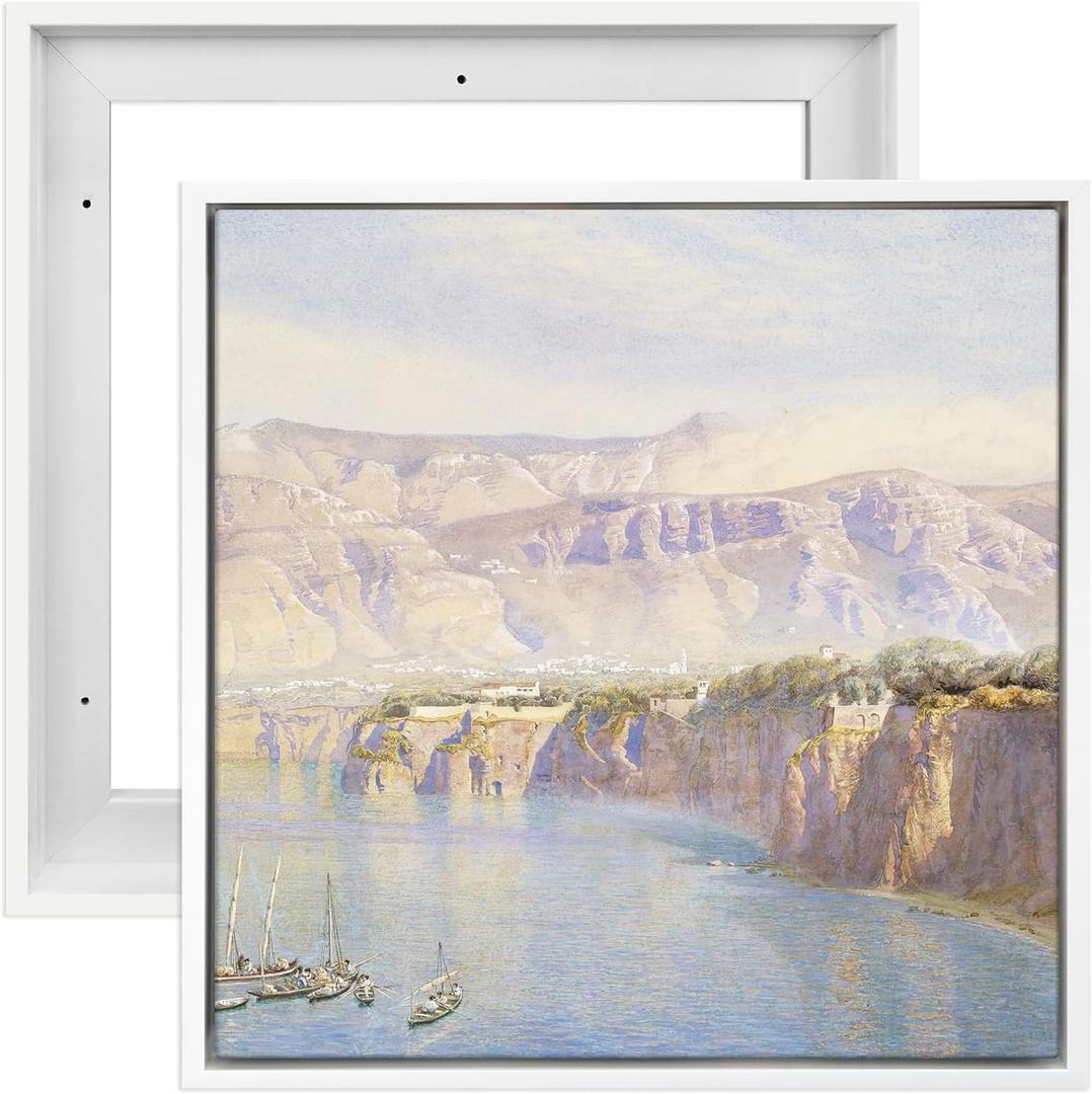 Canvas Frame, 2 Pack Square Floating Frame for 10x10 Oil Paintings, Stretched Canvas Pictures Prints, Home Office Living Room Wall Decor (White)