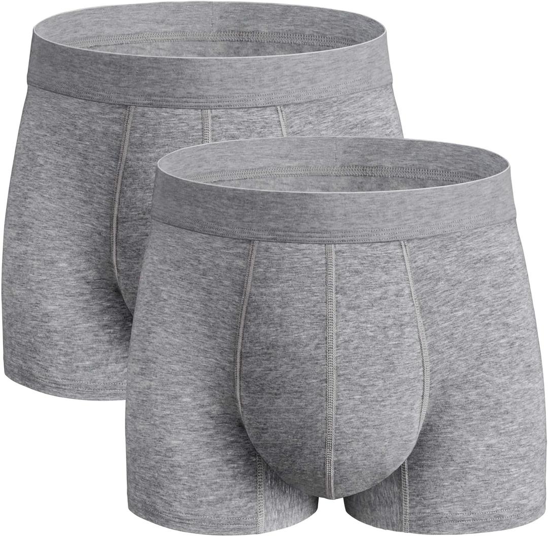 Washable Incontinence Underwear for Men, 2.3 oz Absorbent Leak Proof Odor Control Briefs with Covered Waistband (Gray, L)