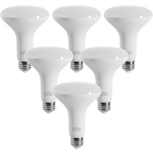 LED Flood Light Bulbs, Dimmable 750LM BR30 LED Bulb, 5000K Daylight 8W(65W Equivalent), CRI80, 15000 Hours, E26 Base Recessed Light Bulbs, 6 Pack