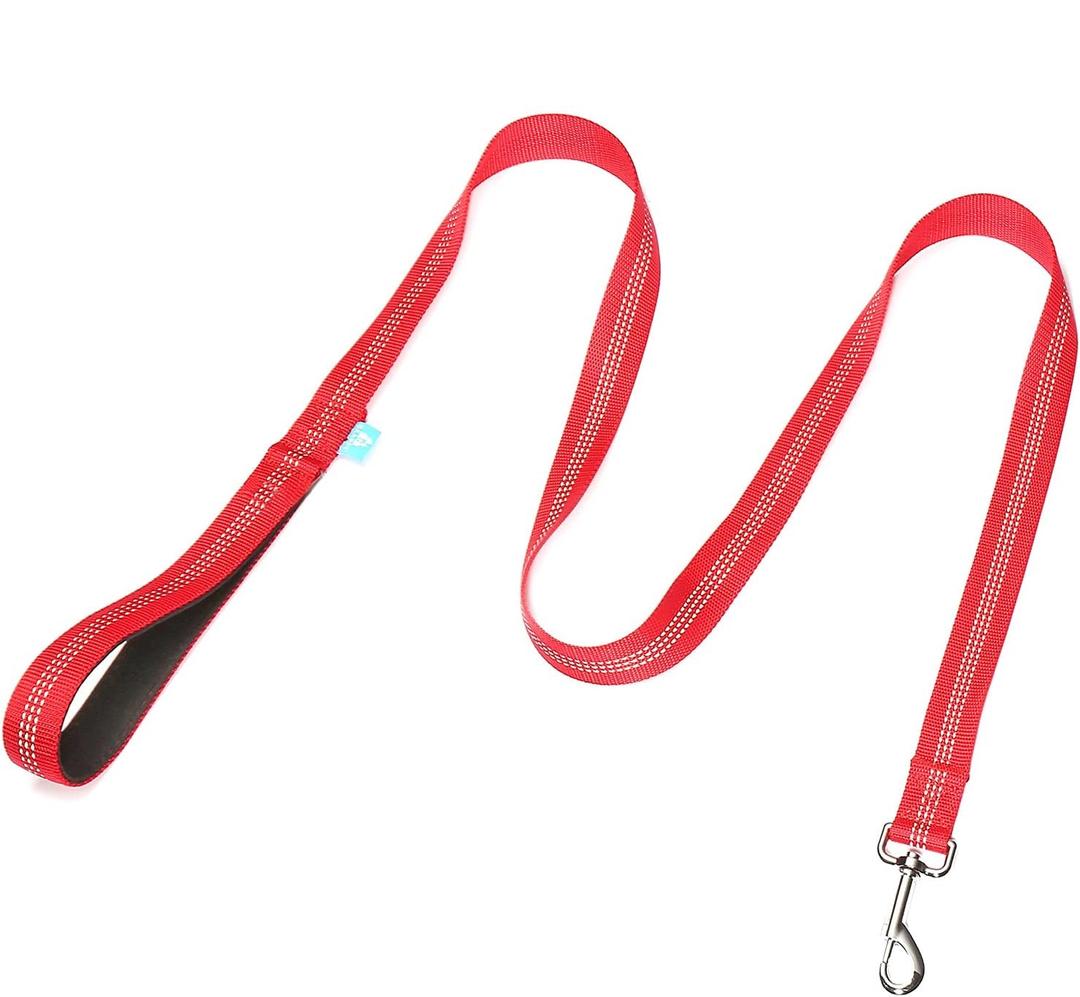 BAAPET 5 Feet Nylon Dog Leash with Triple Reflective Threads and Comfortable Padded Handle for Walking, Training Lead Small Puppy, Medium and Large Dogs (3/4'' x 5 FT, Red)