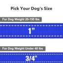 Taglory Dog Leash for Medium Large Dogs, Double-Sided Reflective Leash with Soft Neoprene Padded Handle, 1 inch by 6 ft, Fit Medium Large Breeds 20-150 lbs, Navy Blue