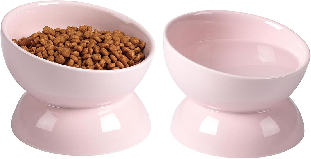 Cat Water Bowl, 16 OZ Ceramic Elevated Cat Bowls, 15 Tilted and Raised Pet Food Dish, Anti Vomiting Protect Pets' Spines and Whisker Fatigue (2 Pack, Pink)
