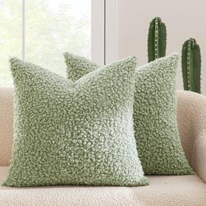 MIULEE Pack of 2 Light Green Faux Fur Throw Pillow Covers 18x18 Inch Boucle Decorative Sherpa Spring Pillow Covers Fuzzy Accent Soft Sheepskin Fleece for Boho Home Decor Sofa Living Room Couch Bed