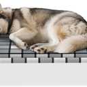 Elevated Raised Lifted Dog Bed Elevated Dogs Bed with Bolster & Cushion Mat Raised Pet Couch Bed with Pillow for Indoor Outdoor (Cushion-34" x 26" x 6")