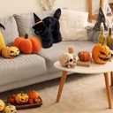 Soulchen Black Cat with Witch Hat Shaped Plush Pillow Frightened Cat Shaped Pillow Black Kitten Stuffed Animals Toy Halloween Decorative Gift for Trick or Treaters