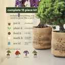Bonsai Starter Kit - Gardening Mothers Day Gifts for Women & Men - Bonsai Tree Growing Garden Crafts Hobby Kits for Adults, Unique DIY Hobbies for Plant Lovers - Unusual Gifts Ideas Mom, Her, Friend